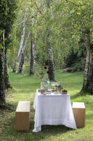 CARACTERE BROTTELLER 15 cm Minze