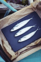 SERVIERPLATTE 30 x 20 cm RECHTECKIG Matt schiefer