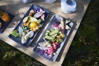 ARBORESCENCE RECHTECKIGER TELLER 30x15 cm Lakritze