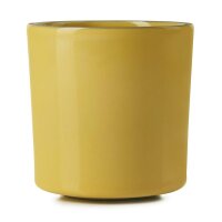 CARACTERE TASSE 22 cl Kurkuma