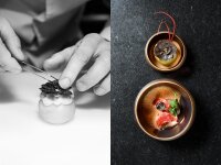 SOLSTICE BOL/ SCHALE/ DESSERTSCHALE/ VORSPEISENSCHALE 12 CL Sunrise Gold