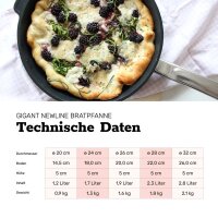BAF Bratpfanne Gigant Newline Induktion Ø 24 cm H 5 cm, 1.7l Ohne Deckel Standardgriff