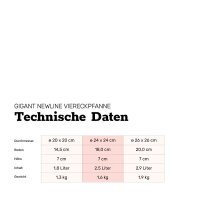 BAF Gigant Newline Viereckpfanne Induktion 24 x 24 cm 7,0 cm 2,5 l ohne Deckel Abnehmbarer Griff