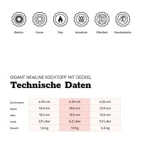 BAF Kochtopf mit Deckel GIGANT Newline Induktion Ø 20 cm x 12,5 cm 2,9 l