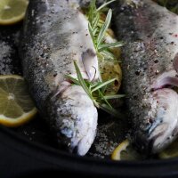 BAF Fischpfanne 38x28 cm Gigant Newline Induktion 38x28cm x 2.5cm 3.5l-Griff abnehmbar