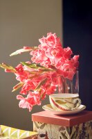 Tea4One mit Untertasse MIRABILIA 400 ml rot