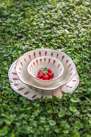 Dessertteller Domitilla Magenta