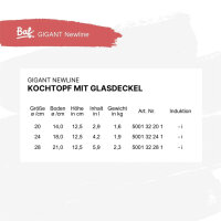 Kochtopf mit Deckel 28 cm BAF GIGANT Newline für alle Herdarten