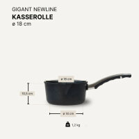 Stieltopf / Kasserolle 18 cm BAF GIGANT Newline für alle Herdarten
