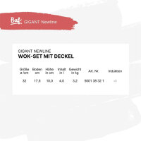 Wokpfanne mit Deckel 30 cm BAF GIGANT Newline für alle Herdarten