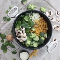 BAF Bratentopf Gigant Newline wahlweise mit Deckel