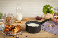 Easy Induction Milchpfanne Antihaftbeschichtet 16cm Kuhn Rikon